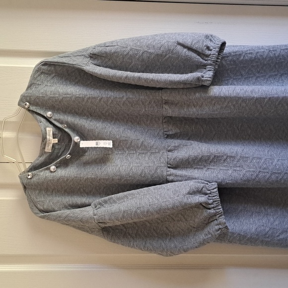 Gray  Dress with Pearl and Rhinestone Accents  Balloons Sleeves - Picture 8 of 8